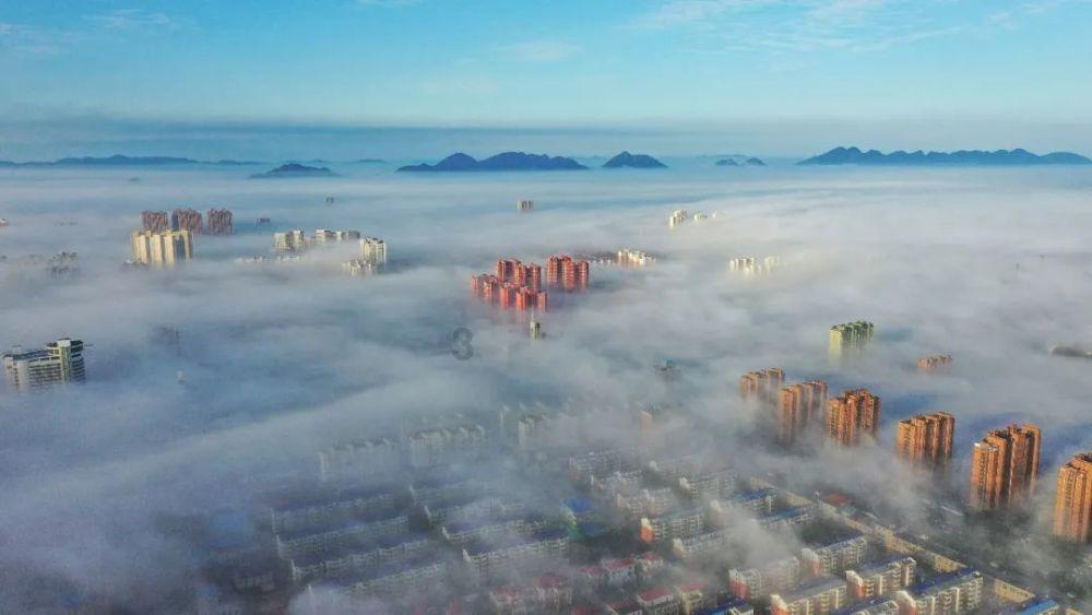 宣布灭绝的生物出现了，野生华南虎会被重新发现吗？游戏画面