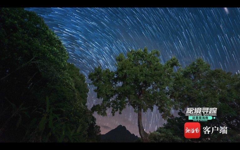 优雅的咖啡店